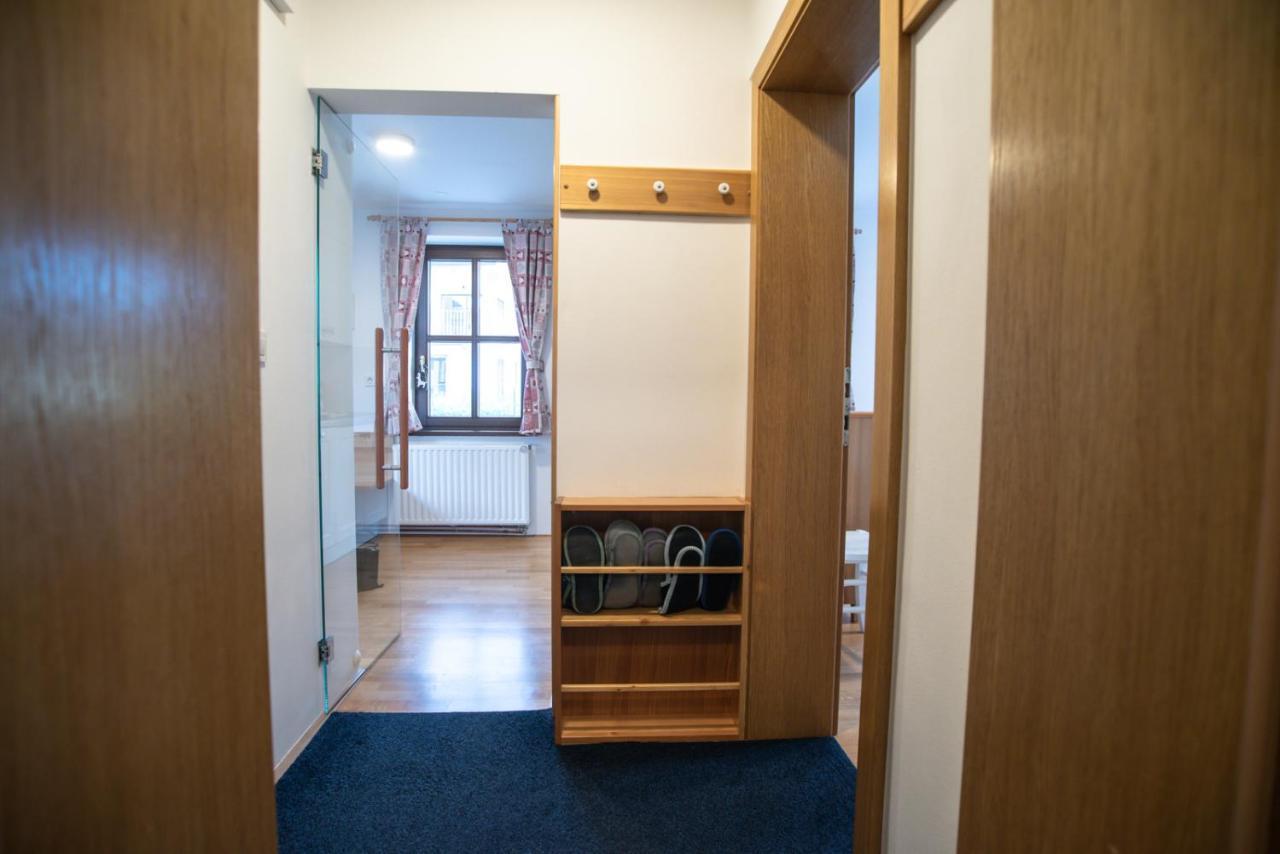 Pritlicni Apartma Hribovc Z Atrijem كْرانْيِسكا غورا المظهر الخارجي الصورة