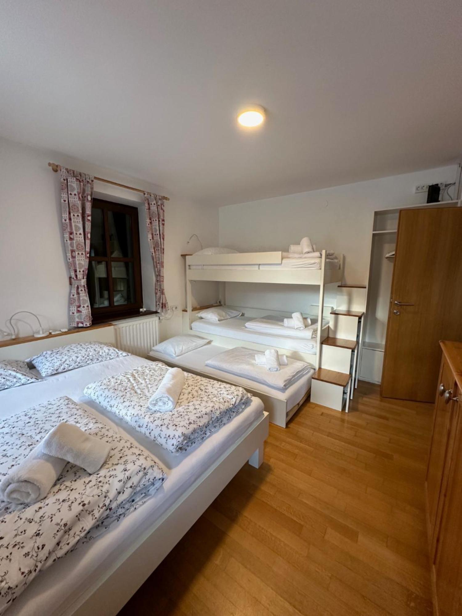 Pritlicni Apartma Hribovc Z Atrijem كْرانْيِسكا غورا المظهر الخارجي الصورة